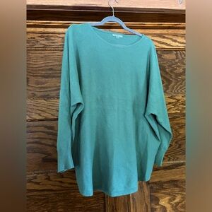 Vita Milano 1X super soft sage green sweater.